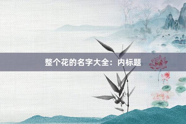 整个花的名字大全：内标题