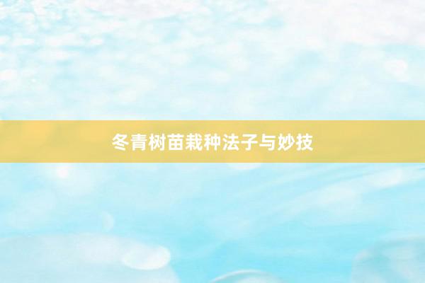 冬青树苗栽种法子与妙技