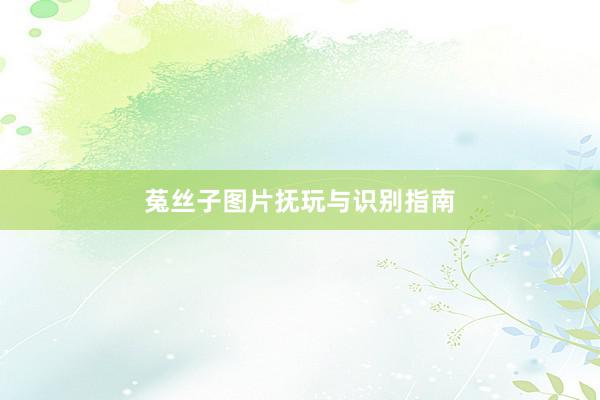 菟丝子图片抚玩与识别指南