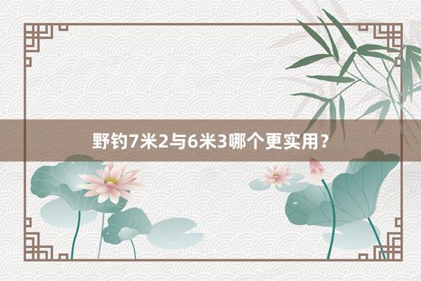 野钓7米2与6米3哪个更实用？