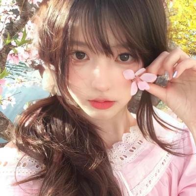 不装了霍总每天都想复婚