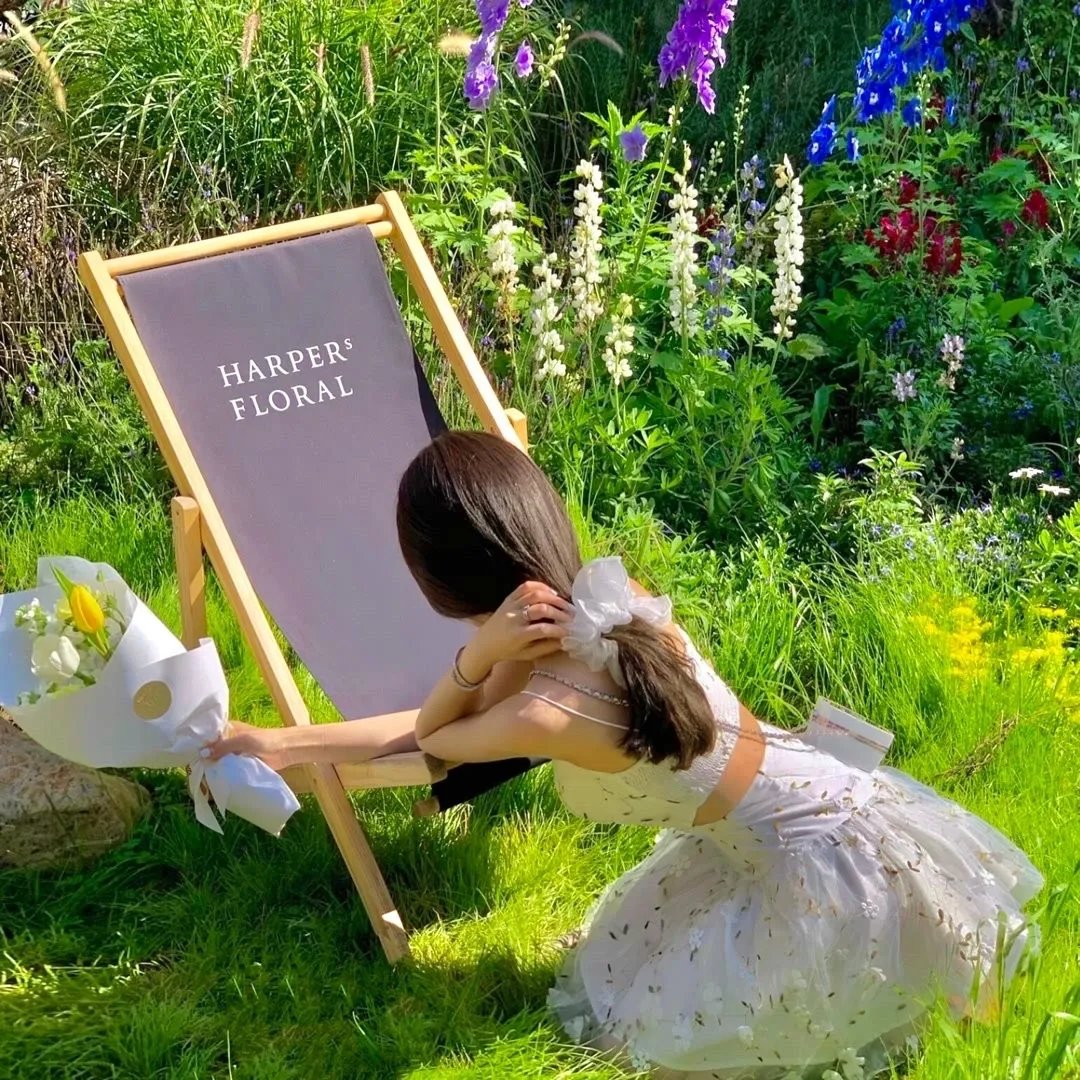 双姝斗影月光寒